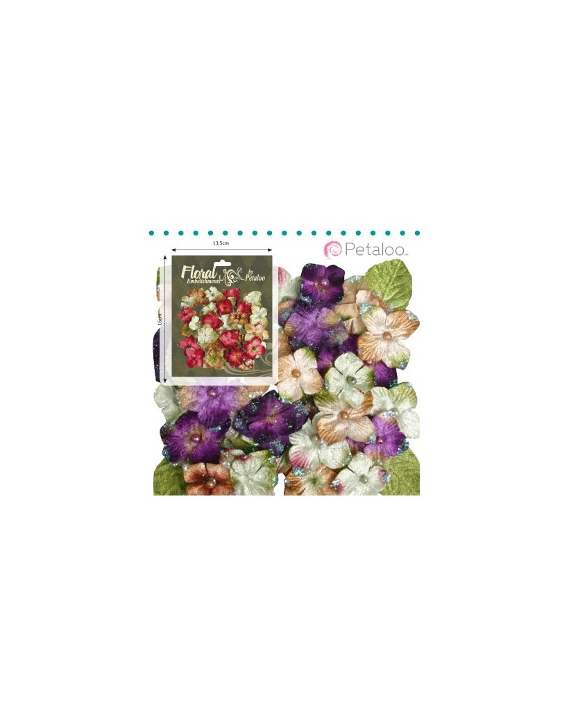 Hydrangeas violet