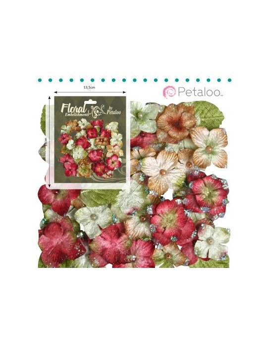 Hydrangeas rouge, brun