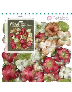 Hydrangeas rose