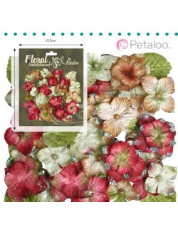 Hydrangeas rouge, brun