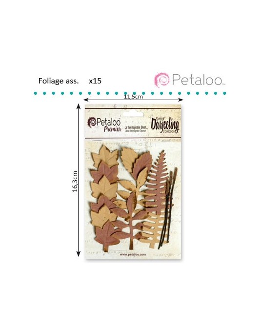 Feuilles tiges 