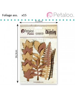 Feuilles tiges 