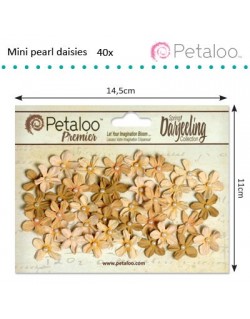 Mini fleurs Shabby beige 