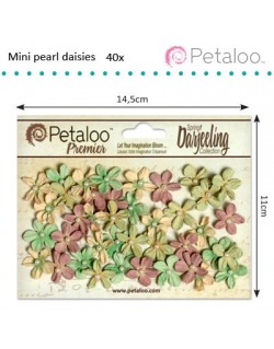 Mini fleurs Shabby beige 