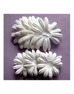 Grande fleurs  artémio blanche
