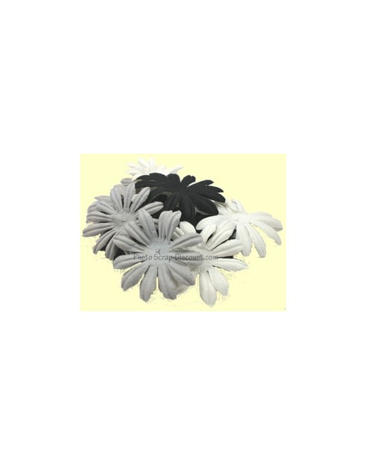 Grandes fleurs noirs, gris,blanc