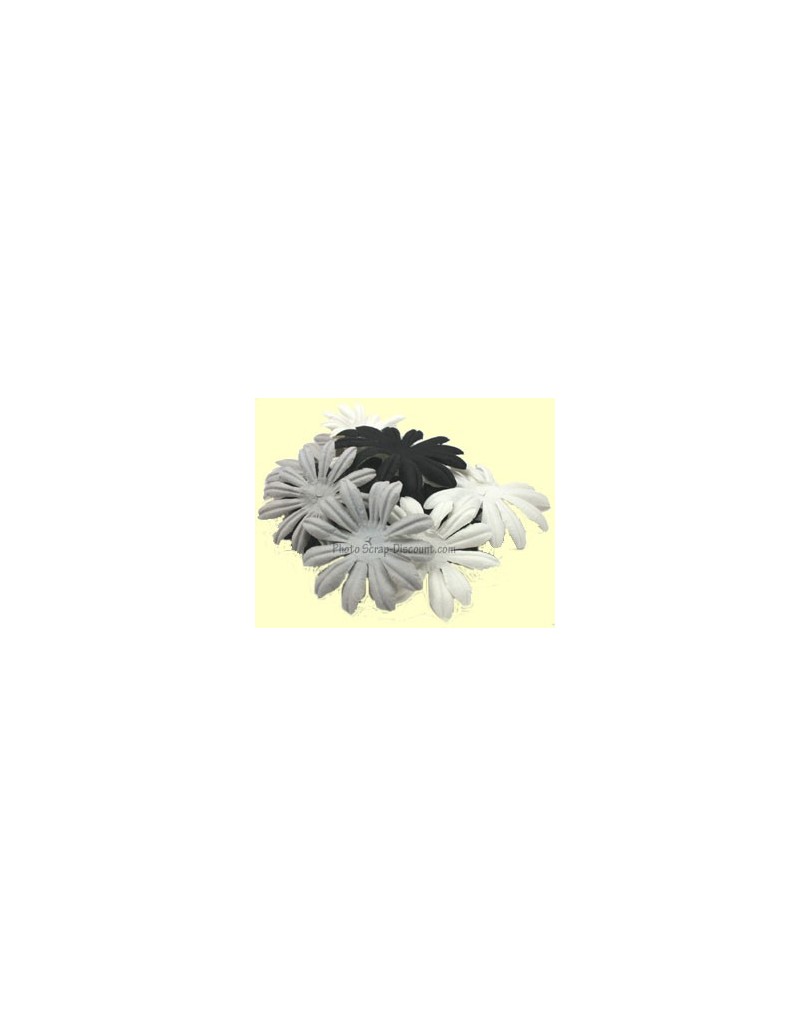 Grandes fleurs noirs, gris,blanc