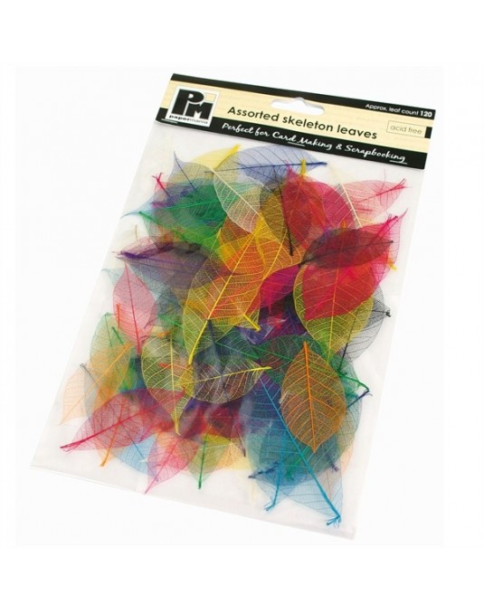 Feuilles squelette vives