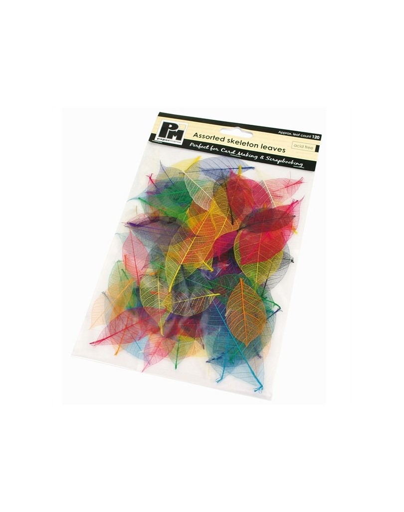 Feuilles squelette vives