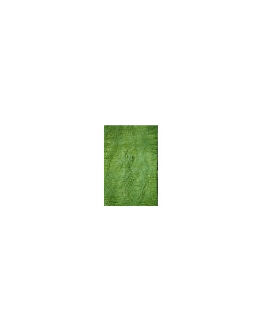 paper déco vert claire