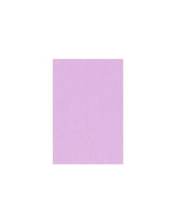 page unie mauve lilas