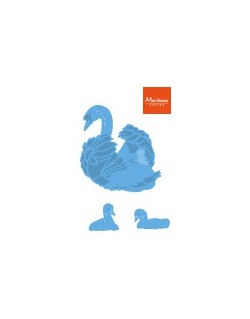 Cygne & bébés