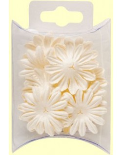 Minis fleurs