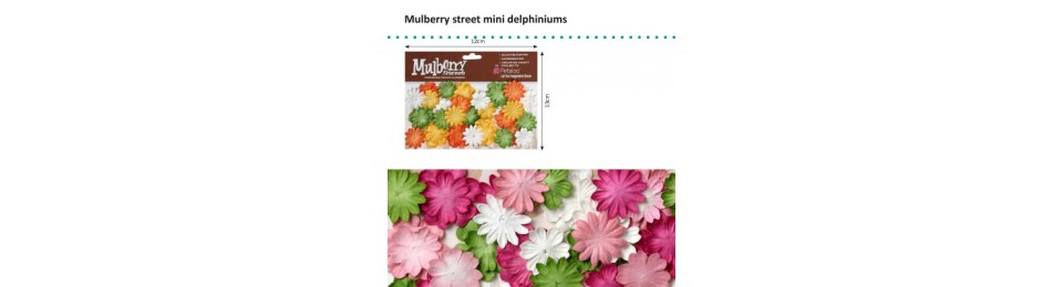 Fleur Mulberry street