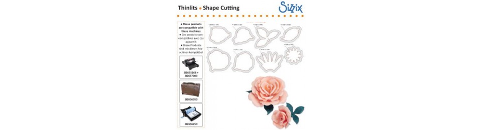 Découpe Sizzix Thinlits